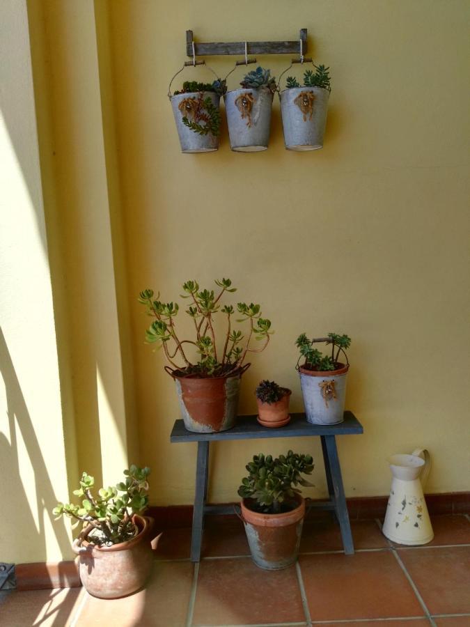 B&B Casa Piras Iun3880 Barùmini Dış mekan fotoğraf