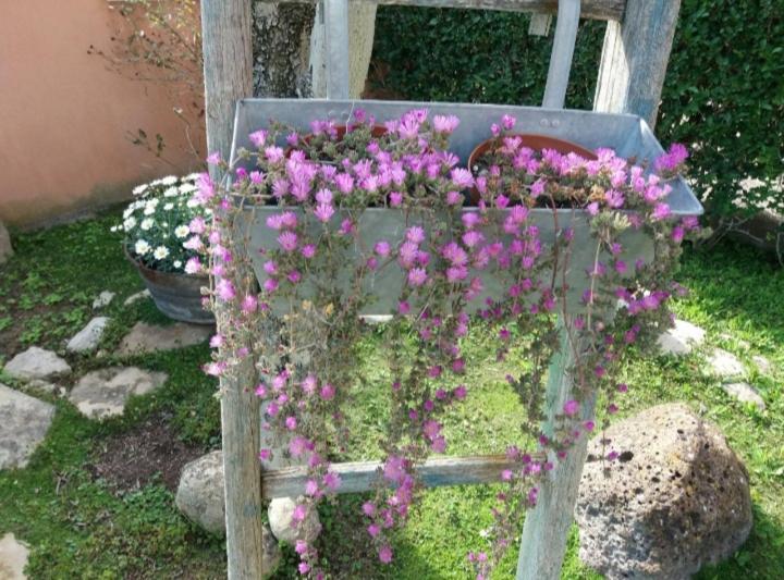 B&B Casa Piras Iun3880 Barùmini Dış mekan fotoğraf