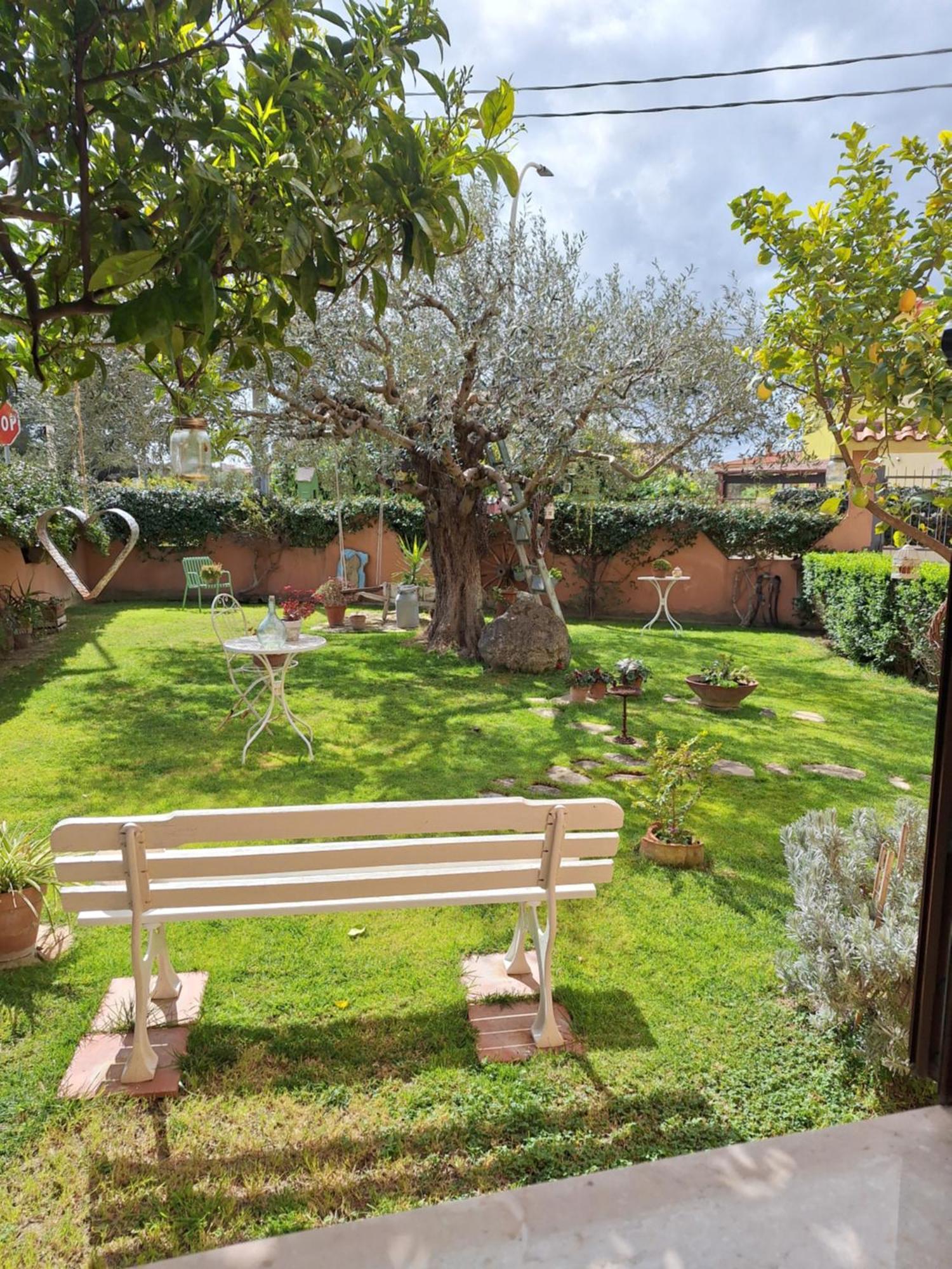 B&B Casa Piras Iun3880 Barùmini Dış mekan fotoğraf