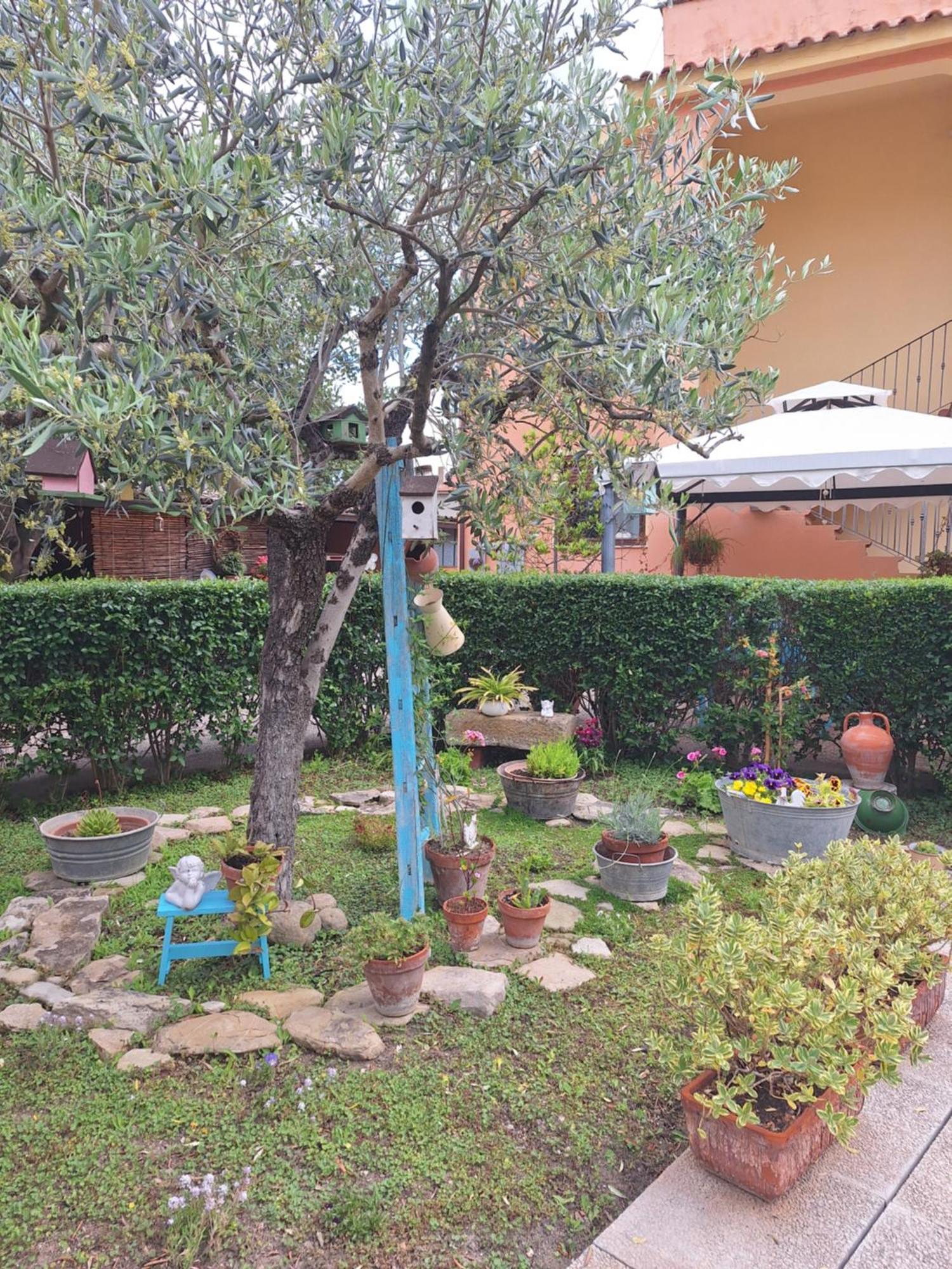 B&B Casa Piras Iun3880 Barùmini Dış mekan fotoğraf